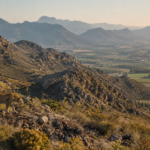 South African Learners Want Smartphones in Science Class, But Teachers Need a Plan