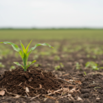 Climate overshoot leaves lasting ocean and permafrost changes even after temperatures fall