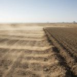 Biochar and polymer combination more than doubled maize yield in two-year rainfed experiment