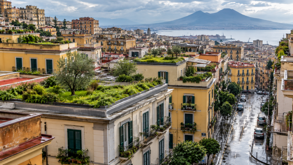Green rooftops across an Italian city after rainfall