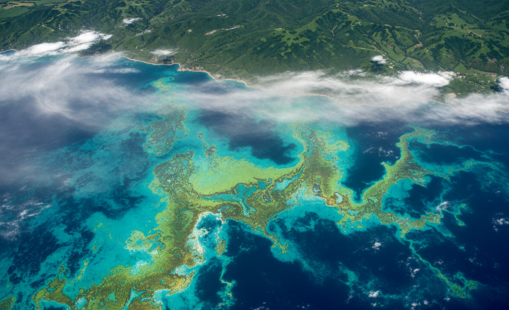 North Atlantic phytoplankton bloom with moisture moving toward green European land