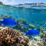 Fish near cities showed signs of better feeding and hidden stress across 18 reef sites
